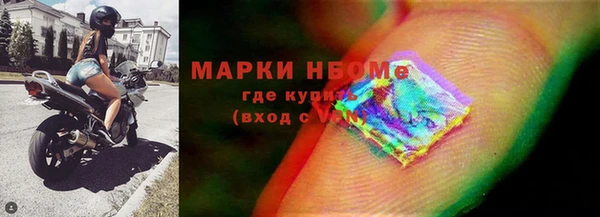 шишки Карпинск