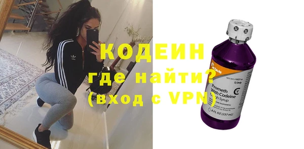 шишки Карпинск