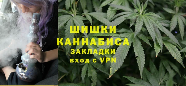 шишки Карпинск