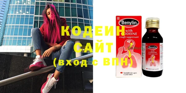 шишки Карпинск