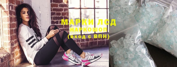 шишки Карпинск